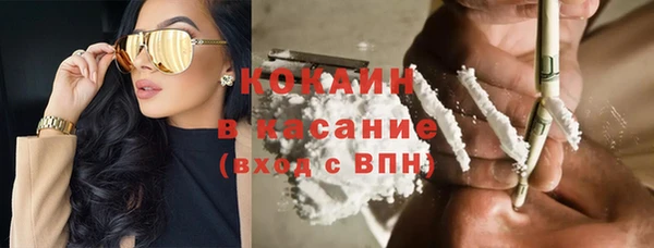 гашик Алексеевка