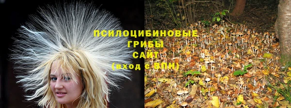 MDMA Premium VHQ Алзамай