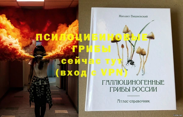 гашик Алексеевка