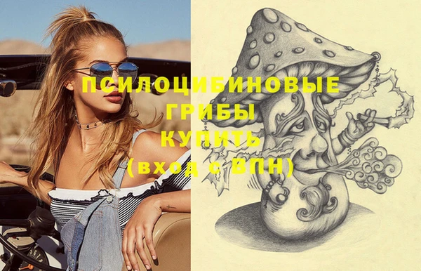 гашик Алексеевка