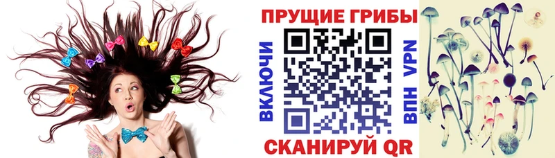 Псилоцибиновые грибы мухоморы  Дыгулыбгей 
